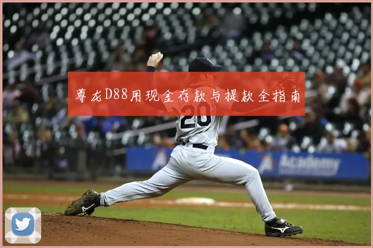 尊龙D88用现金存款与提款全指南